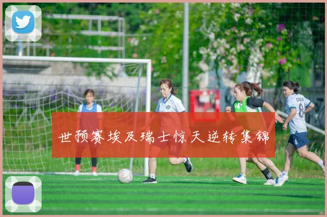 世预赛埃及瑞士惊天逆转集锦