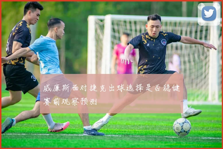 威廉斯面对捷克出球选择是否稳健赛前观察预测