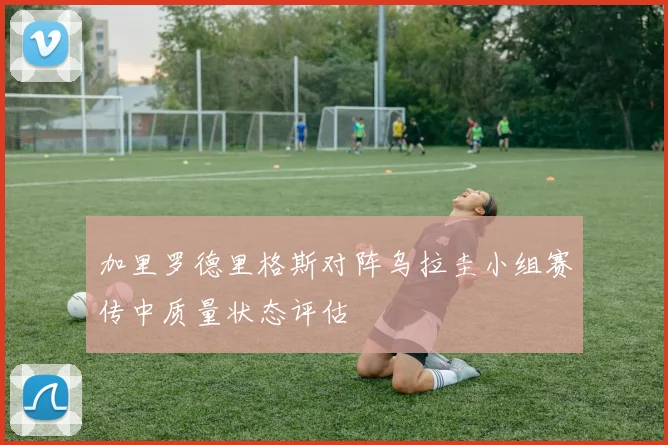 加里罗德里格斯对阵乌拉圭小组赛传中质量状态评估